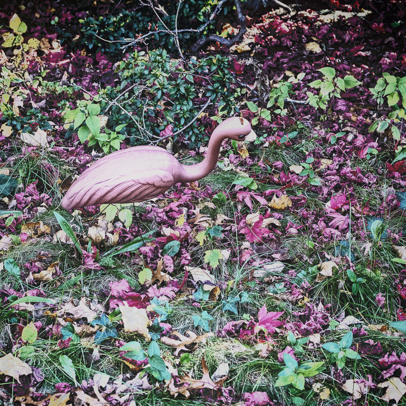Elusive
