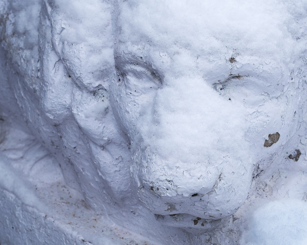 Recumbent Lion Guarding The Portal
