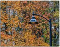 Lamp & leaves 7506