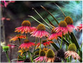 Fairy garden 5421