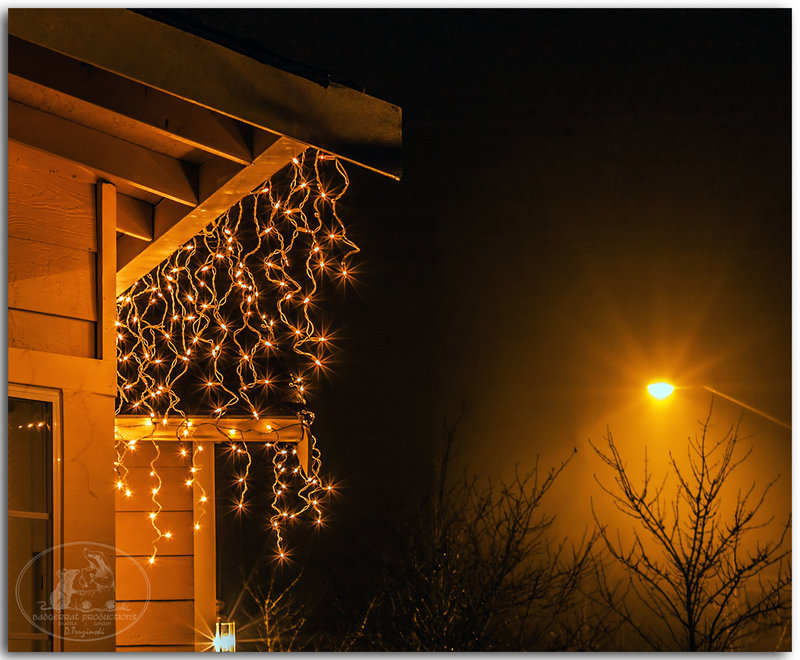 Curly lights 9298