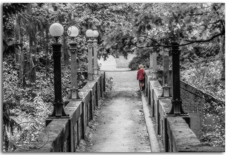 On the edge 6816