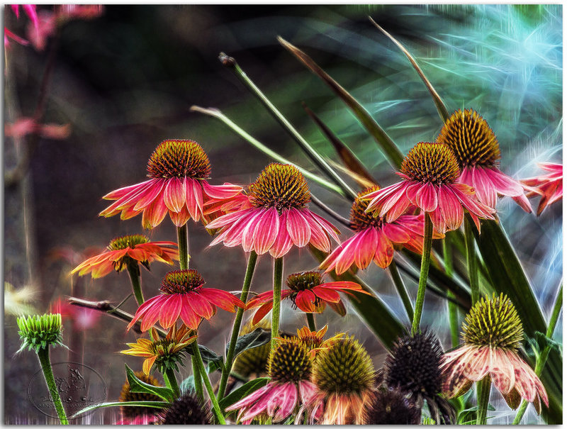 Fairy garden 5421