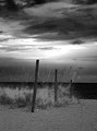 Psych beach