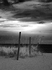 Psych beach