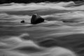 IMG_5946