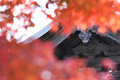 Ninja in the autumn