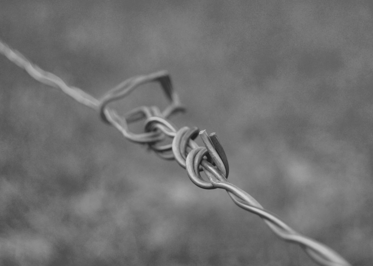 15bw