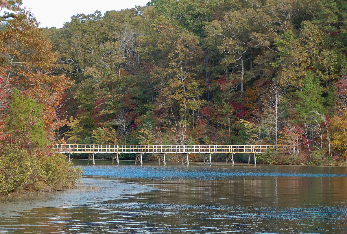 bhp swamp bridge