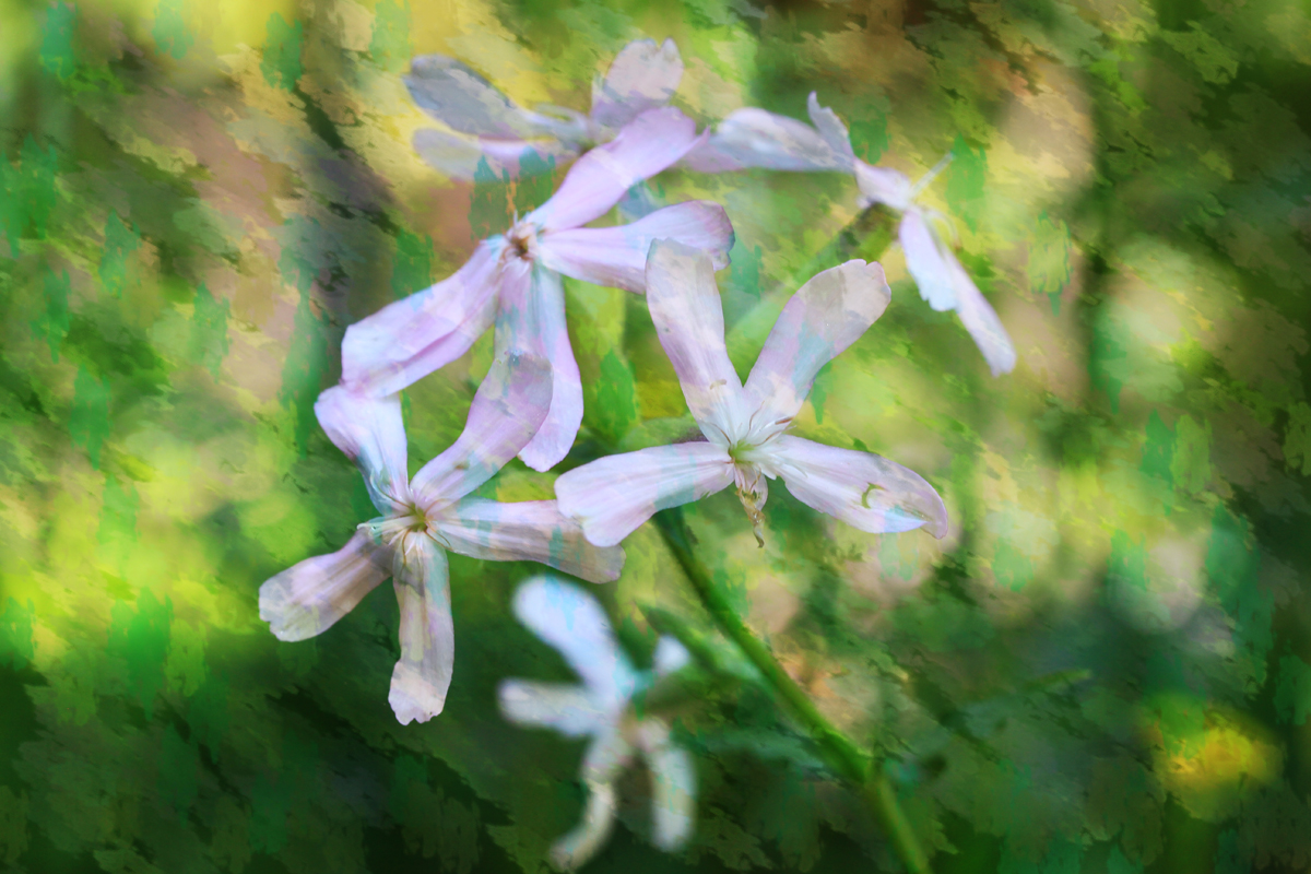 Monet_2