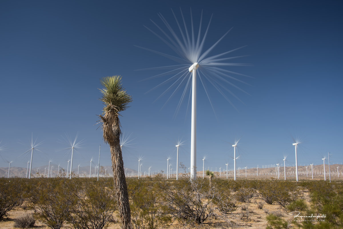 Mojave WInd Turbines-74