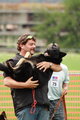 Swiss Alpine Rescue Dog