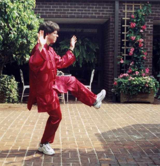 T'ai Chi: Separate Left Leg