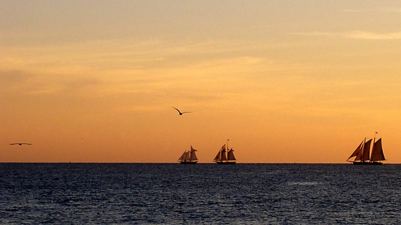 Three Sails