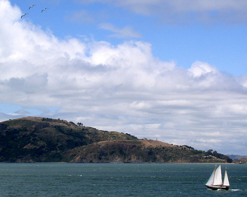 Sailing In San Francisco