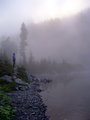 Hoh Lake Mist.jpg