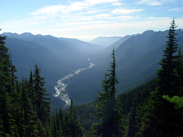 Hoh Valley.jpg