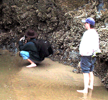 low tide photographers