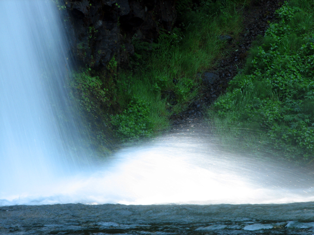 Lower Horsetail.jpg