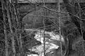Letchworth Bridge I