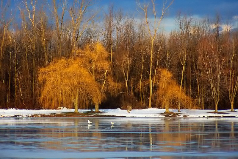 North Ponds Spring