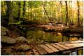 Still Waters