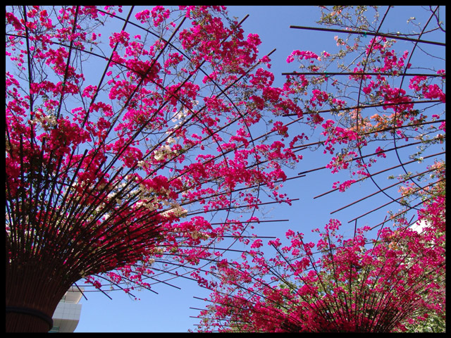 Floral Roof