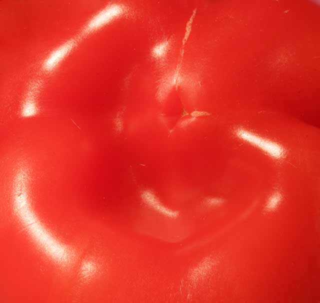 Red Pepper