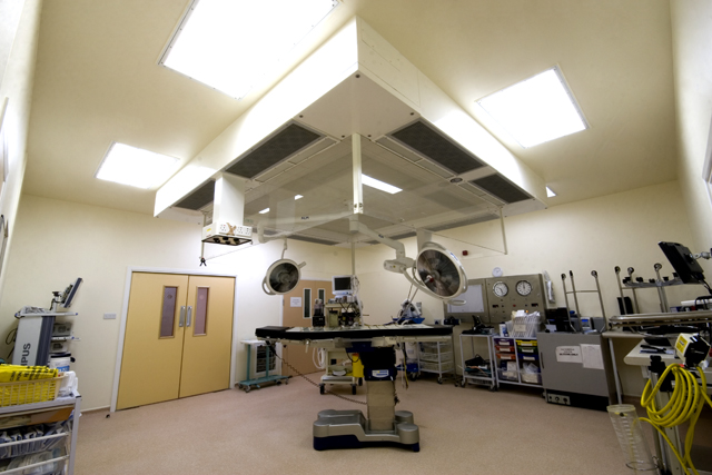 Operating Theatre