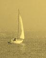 Sailing.JPG