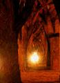 Toward the light.JPG