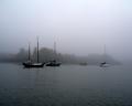 Foggy Morning