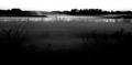 Foggy Evening.jpg