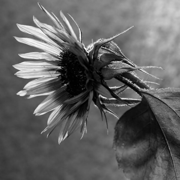 105_0507a1a.jpg