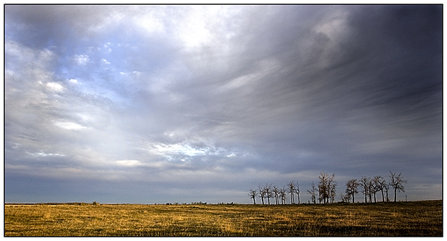 Autumn-on-Prairie.jpg