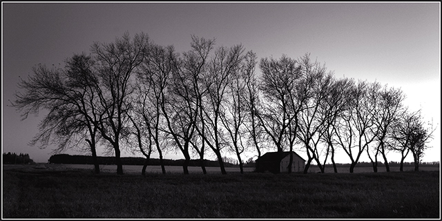 Autumn-Evening-2.jpg