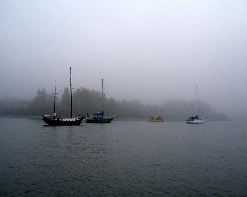 Foggy Morning