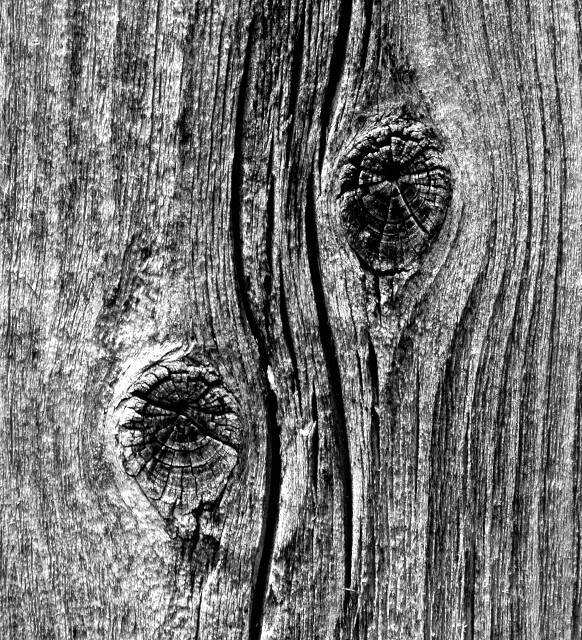 B&W100_0463.JPG