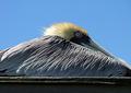 DSCF9640-640.jpg