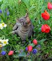 DSCF9971.jpg