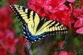 DSC_7788_800.jpg