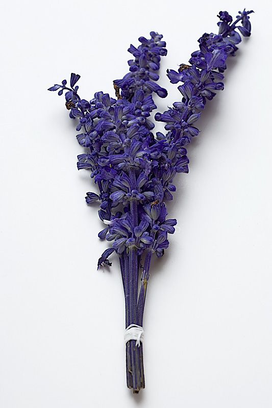 Lavender Bundle