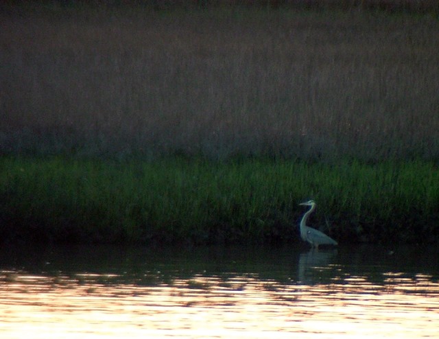 DSCF9705-640.jpg