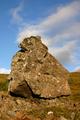Stone