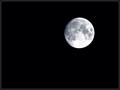 The moon