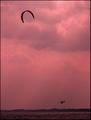 Surfer of Kites