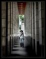 The Student