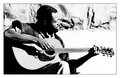 Playing for the Sun