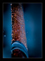 The Mourning Katana