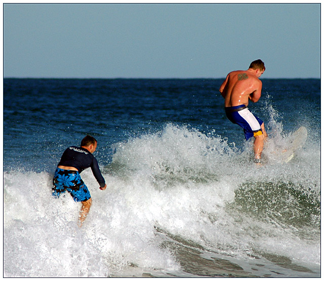 Water Walkers
